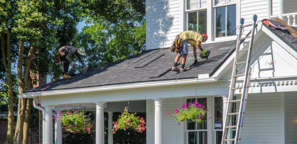 Best Roof Moss and Algae Removal  in Glenarden, MD
